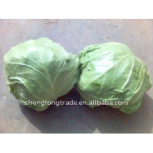 chines fresh round cabbage high quality